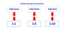 position leverage ratio selection en.png